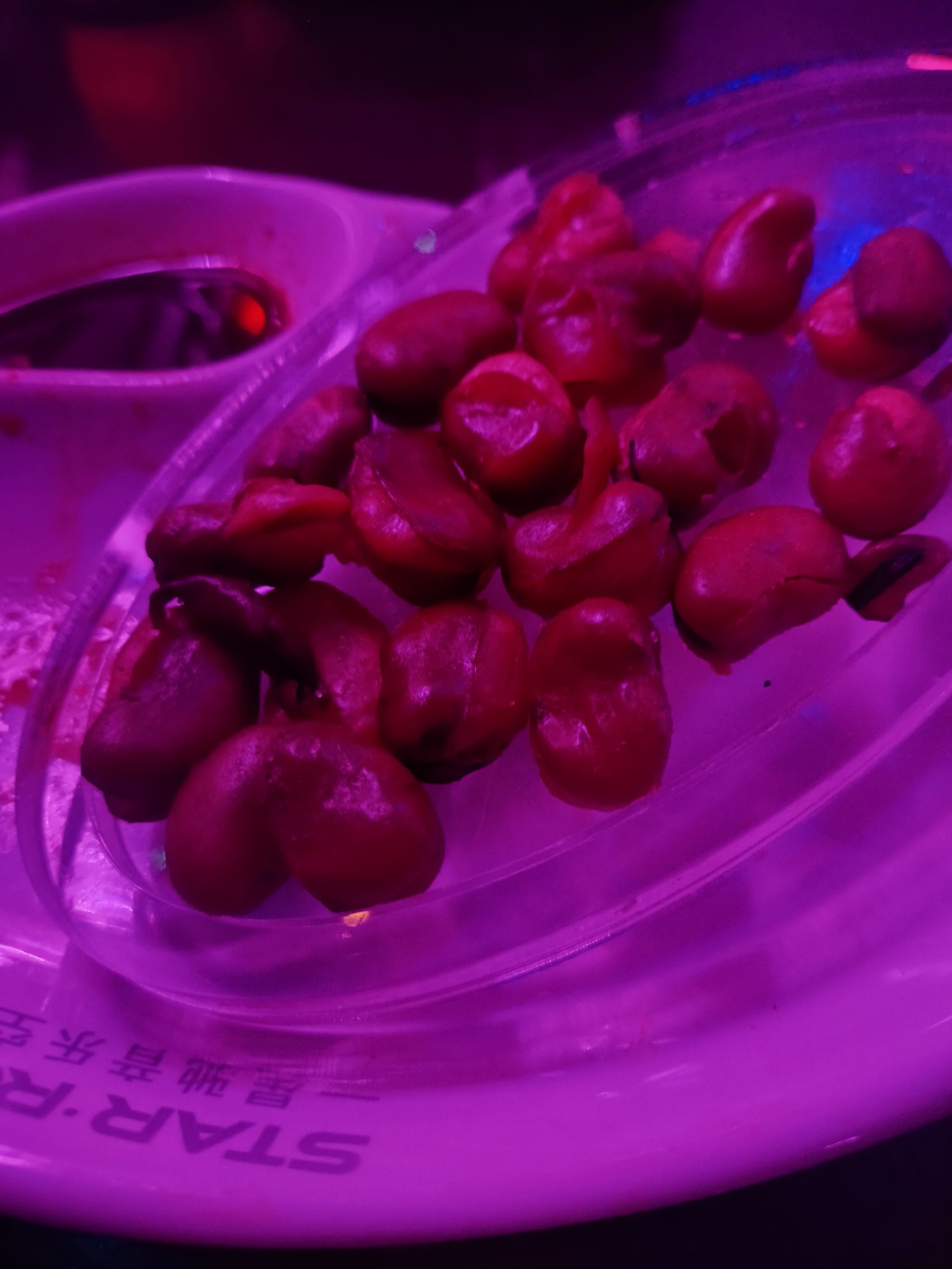 庆阳商务ktv最高性价比-环县ktv预订